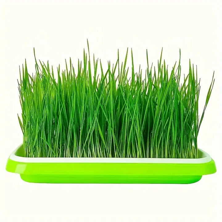 BowLift | Germination trays with lid – Double-layer seed sowing tray for effective seed germination