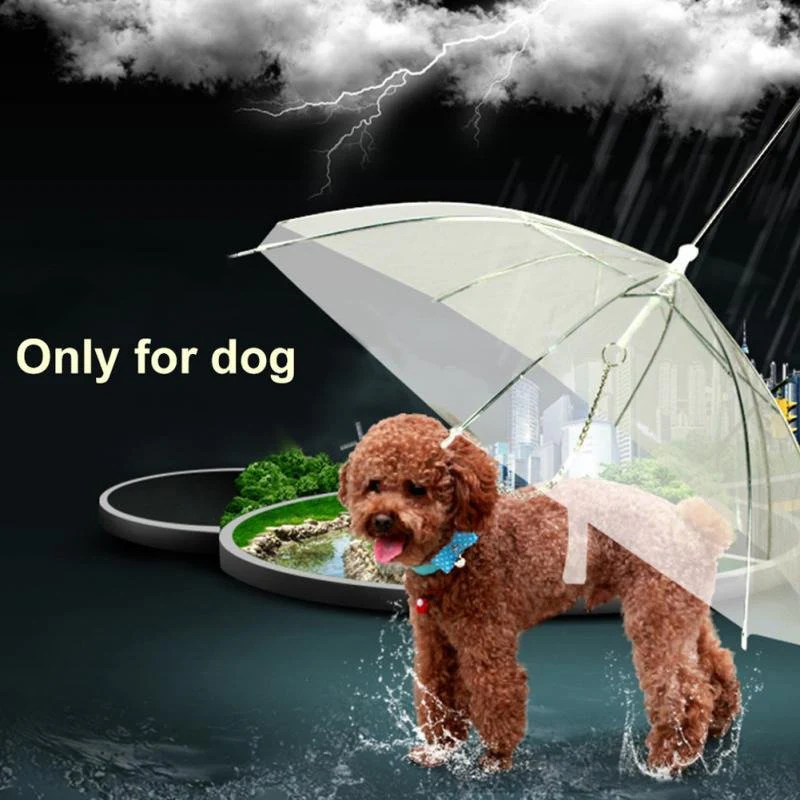 BowLift | Transparent Dog Umbrella