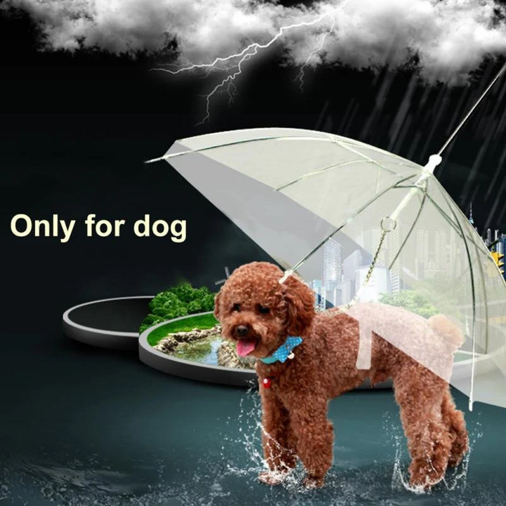 BowLift | Transparent Dog Umbrella