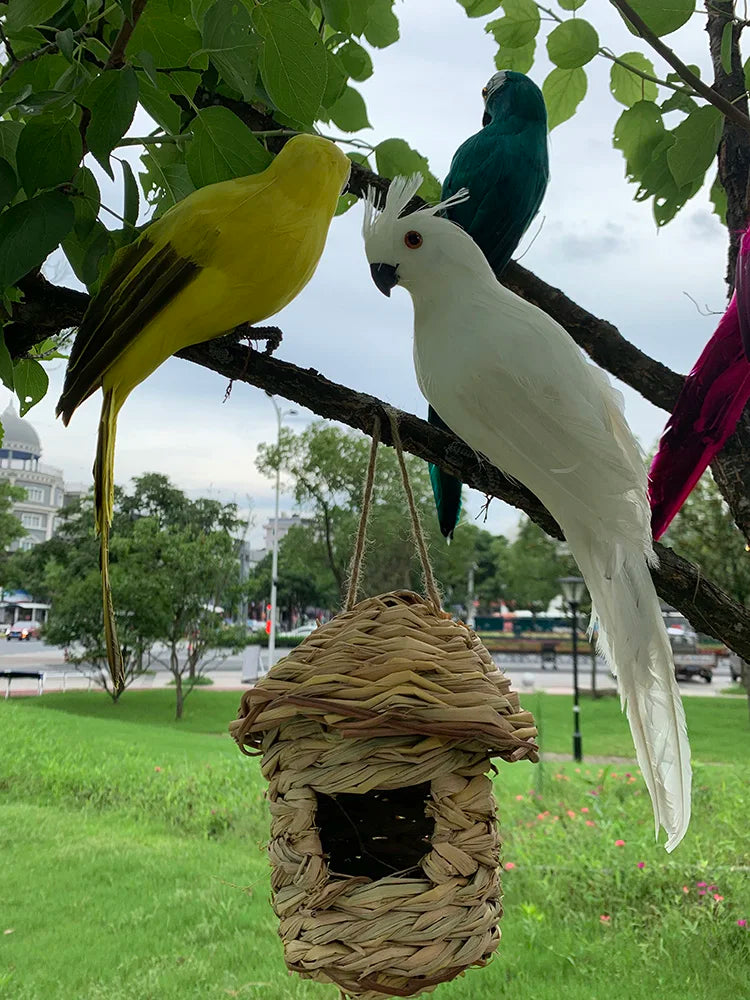 BowLift | Parrot Garden Decoration - Tropic