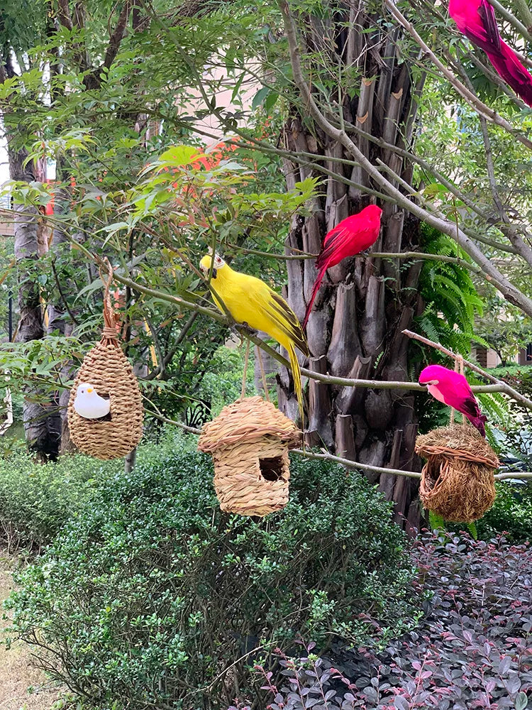 BowLift | Parrot Garden Decoration - Tropic