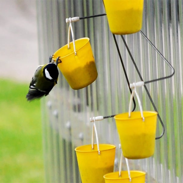BowLift | FeederMagic Whimsical Bird Entertainment