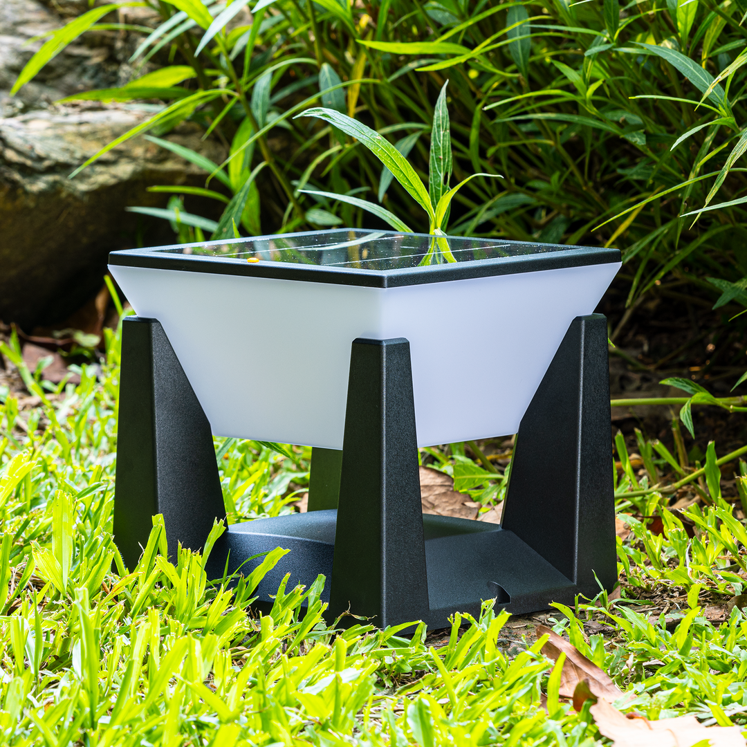 BowLift | SolarPath Outdoor Light