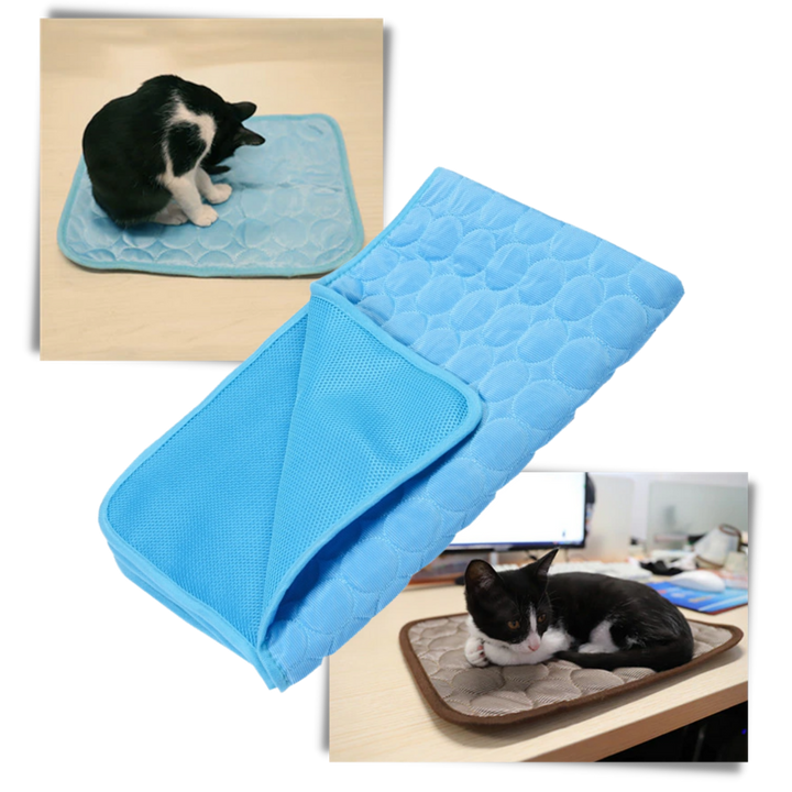 Cooling Mat for Pets | Bowlift