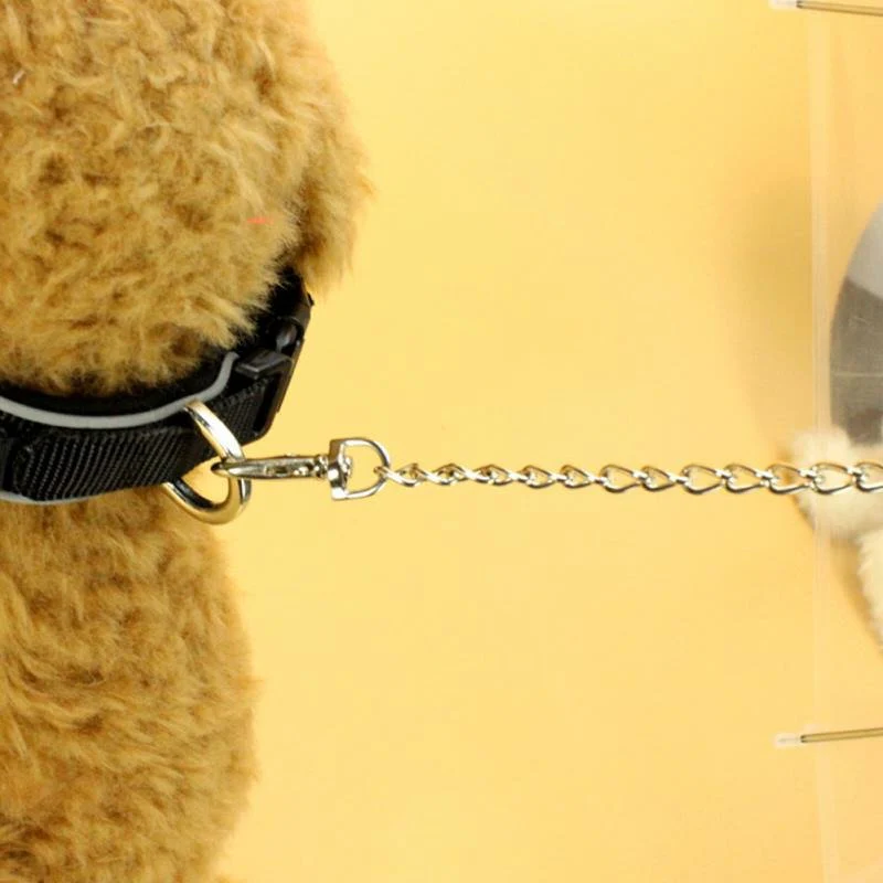 BowLift | Transparent Dog Umbrella