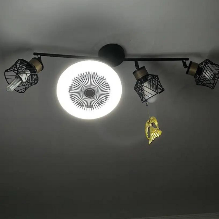 Aromatherapy Bulb Fan | Bowlift