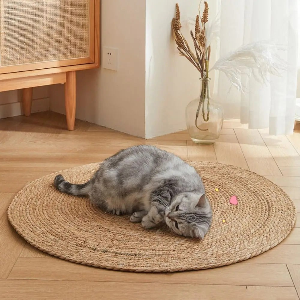 BowLift | PurrPad Paw-Friendly Pad