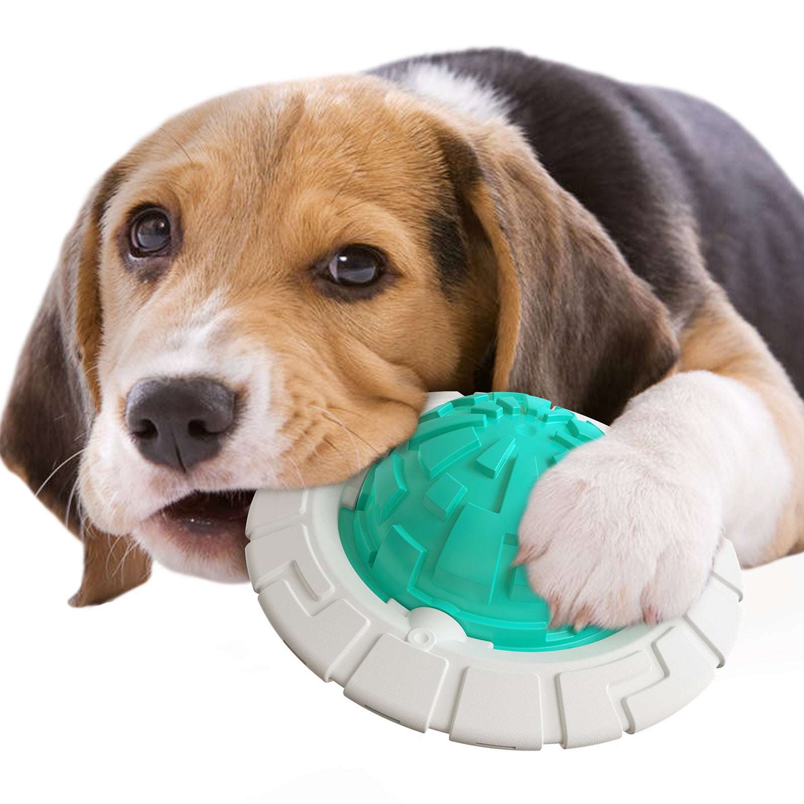 Planet Chew Ball Slow Feeder Toy for Dogs