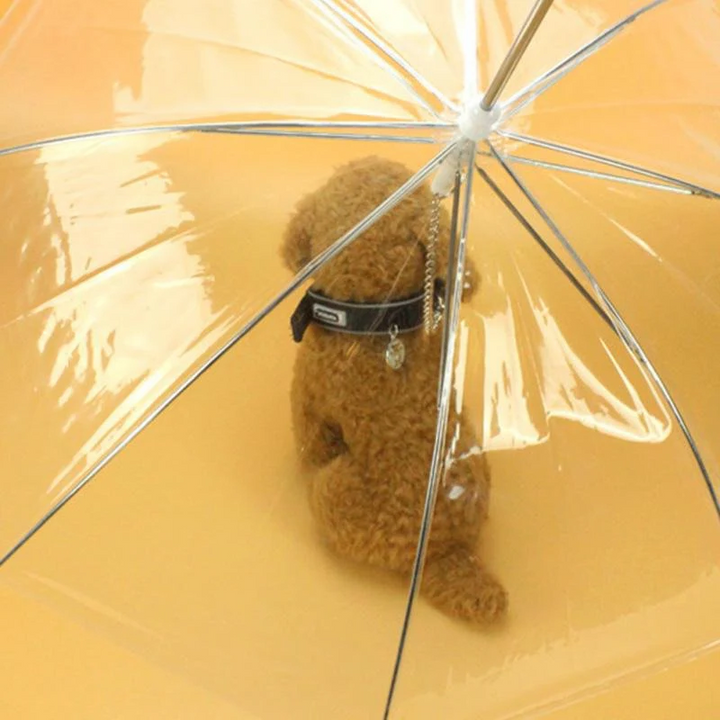 BowLift | Transparent Dog Umbrella