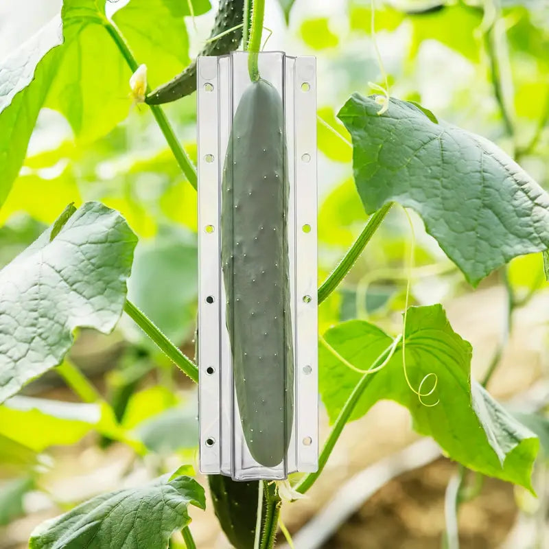 BowLift | Star shape vegetable mold for cucumbers – Creative mold rail for fruits and vegetables