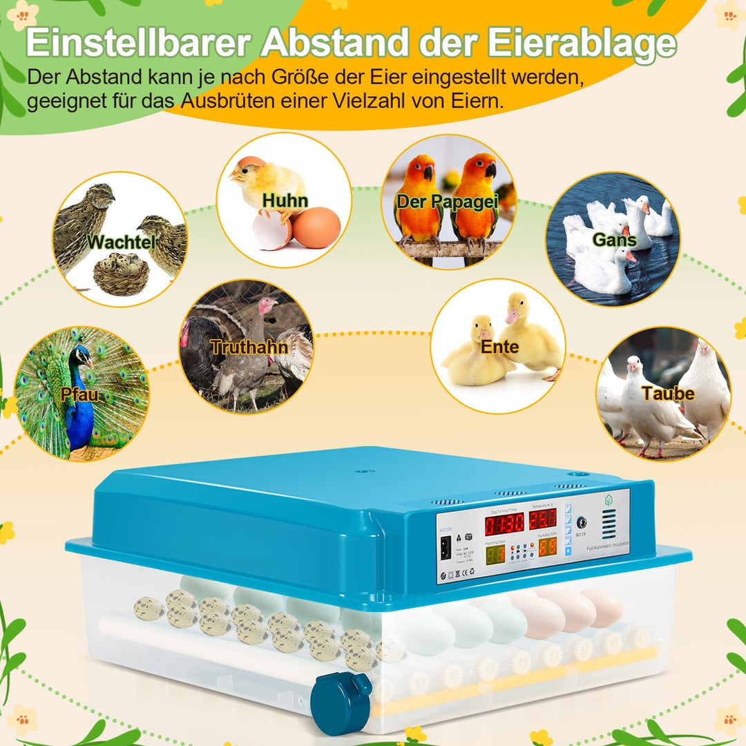 Brutautomat Fully Automatic Incubator for Chickens 64 Eggs | Bowlift
