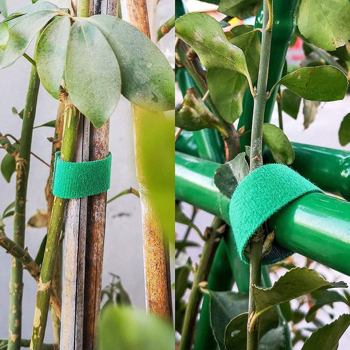 BowLift | Self-Attaching Nylon Cable Ties