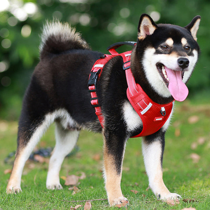 Reflective Dog Harness | Bowlift