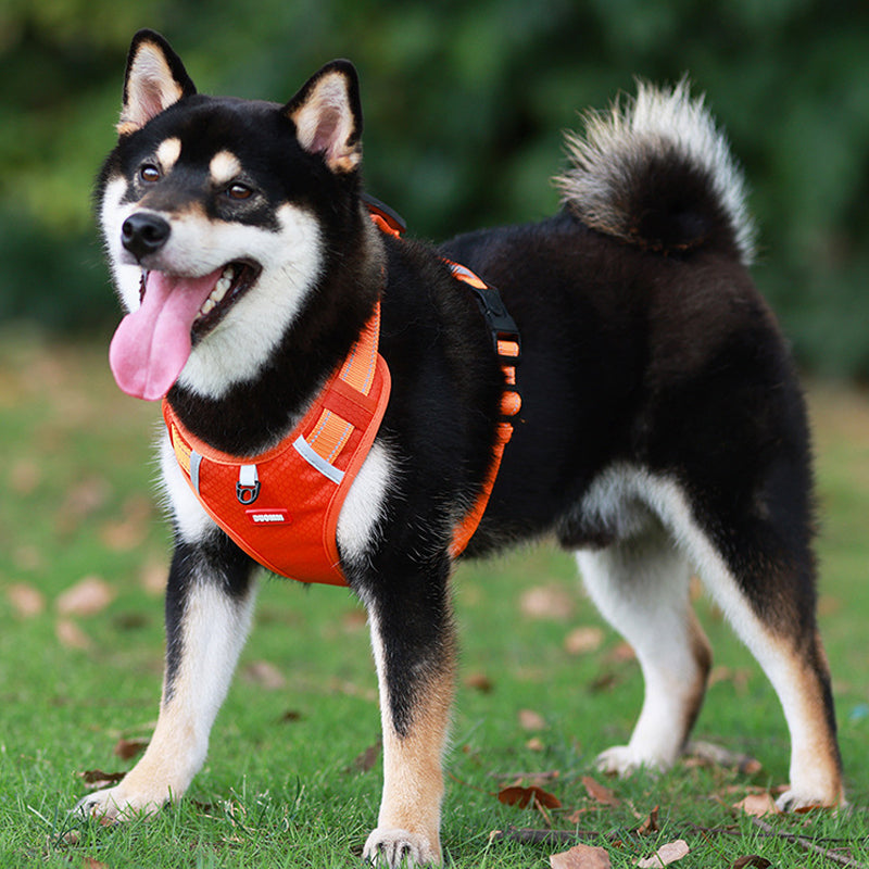 Reflective Dog Harness | Bowlift
