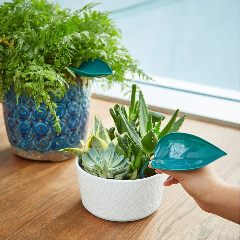 BowLift | Funny Watering Leaves (6pcs)