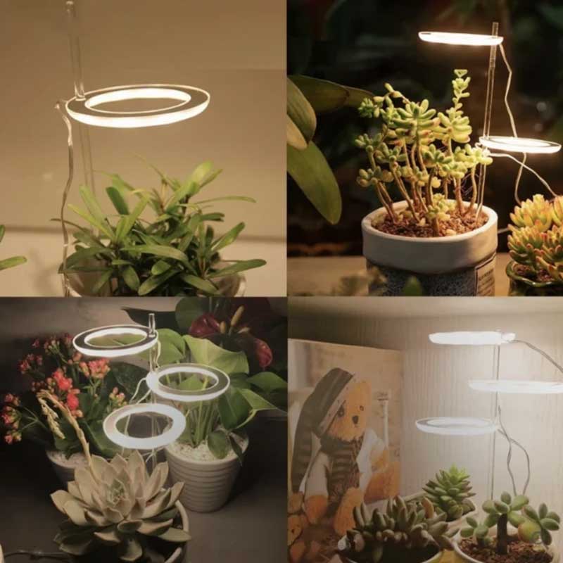 BowLift | Grow lights for indooe plants