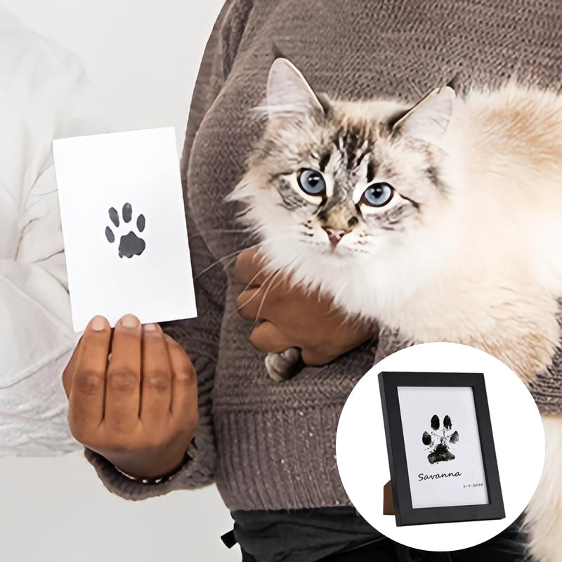 BowLift | DIY Pet Paw Print Memory Frame