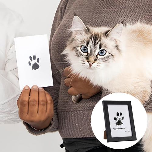 BowLift | DIY Pet Paw Print Memory Frame