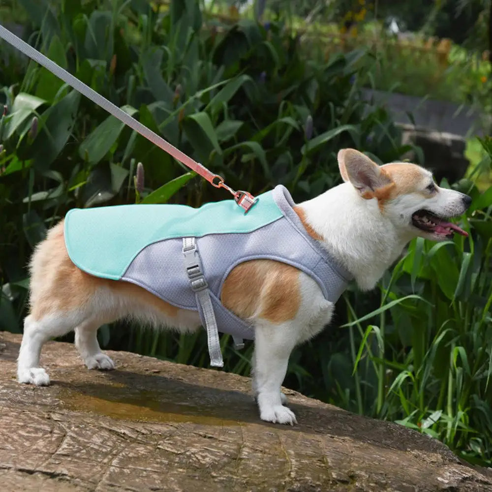 Dog Cooling Vest for Outdoor Activities | Bowlift