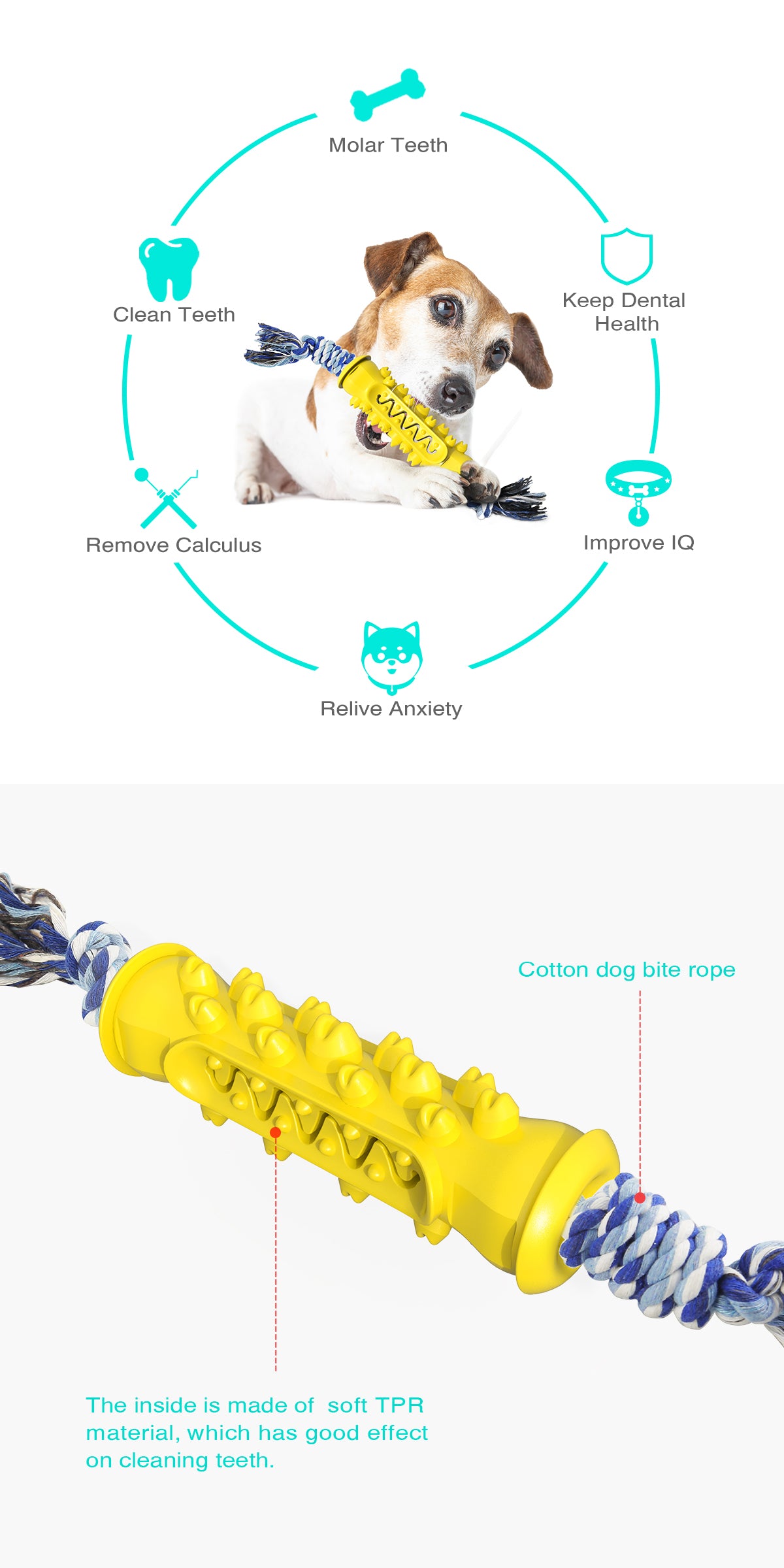 Serrated Chew Stick with Rope Toy for Dogs