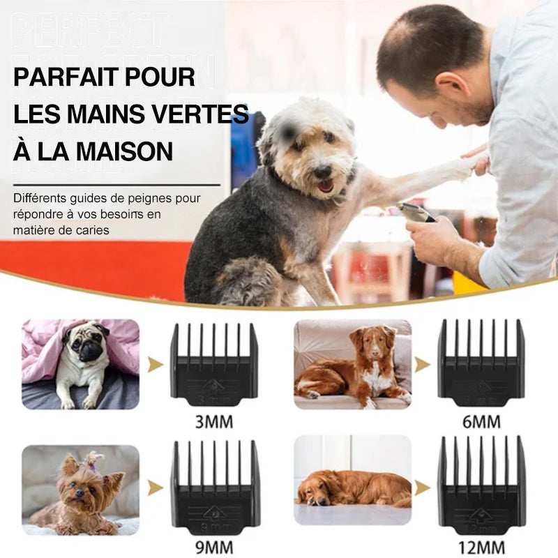 Professional Pet Grooming Set | Bowlift