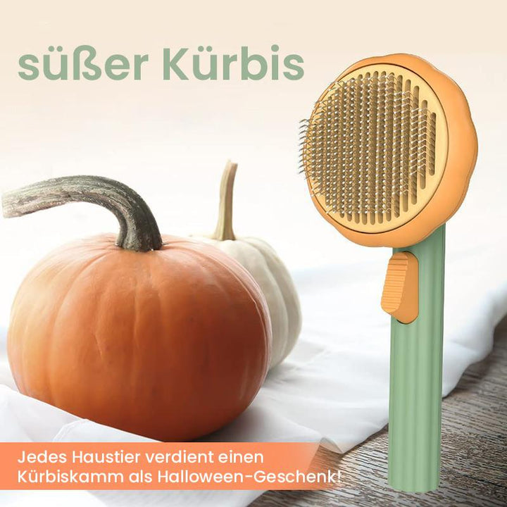 BowLift | Pumpkin Comb Brush for Pets