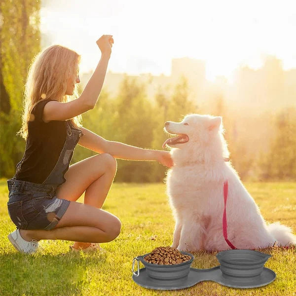 BowLift | Travel Dog Diner Set