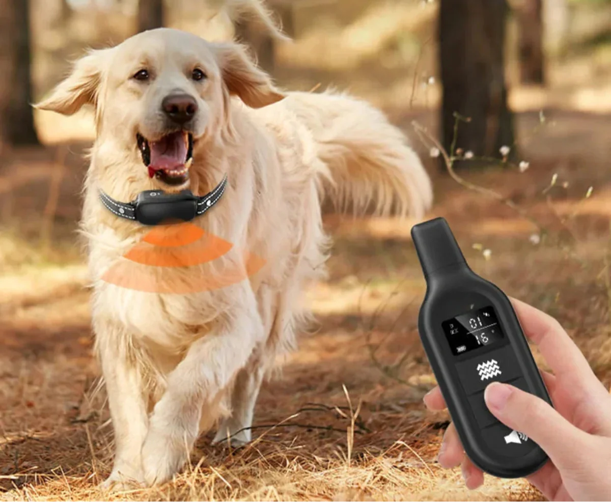 BowLift | Dog Coach Pro Training Collar – Waterproof Electronic Collar with Remote Control