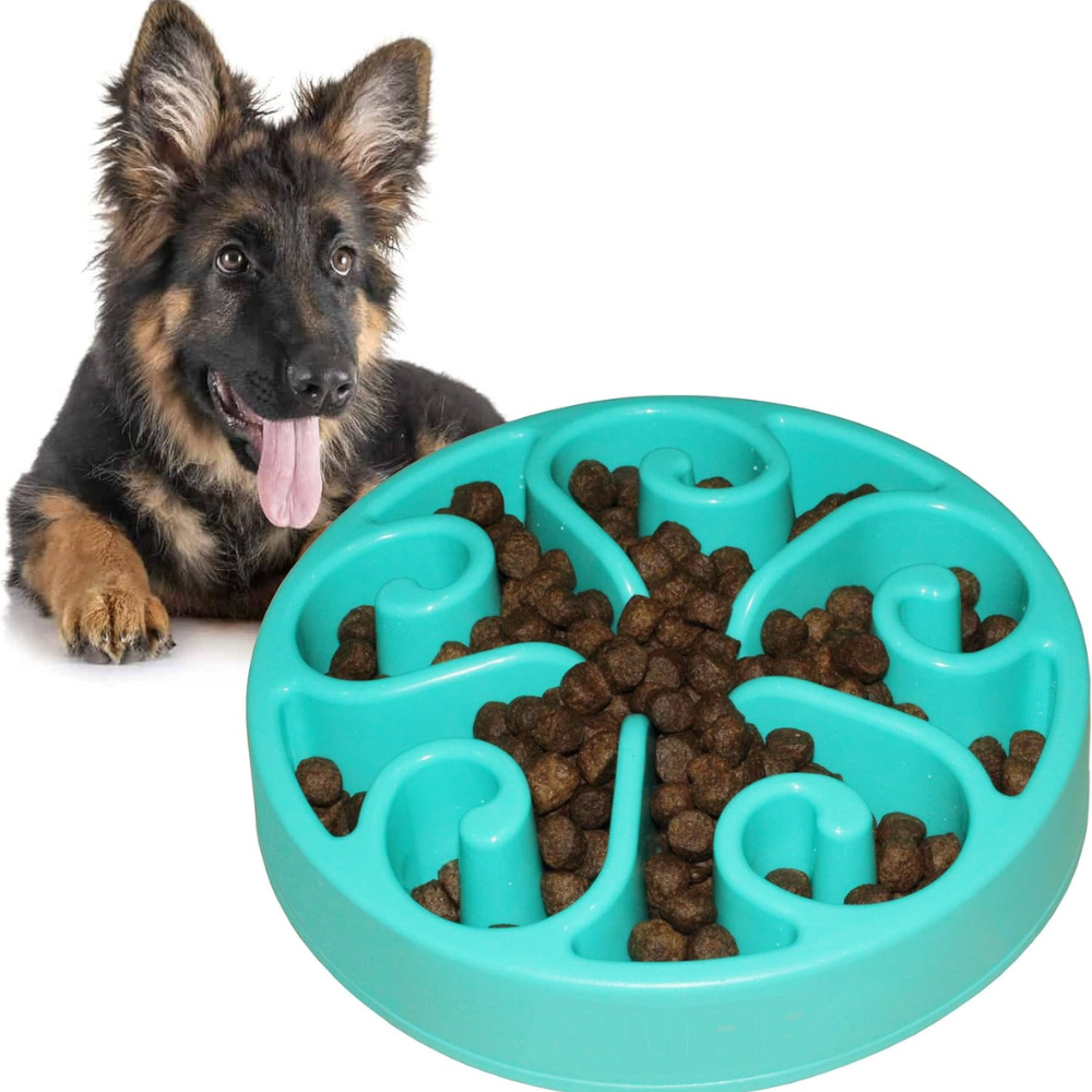 EcoBowl •  Dog Feeding Bowl Slow