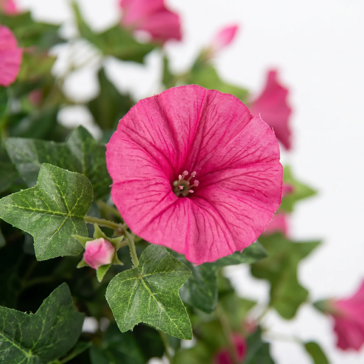 BowLift | Realistic, UV-resistant artificial morning glory - Buy one, get one!