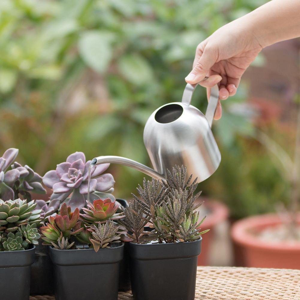BowLift | AquaGrace Stainless Steel Watering Can with Flexible Neck | Modern Design | Perfect Watering | Rustproof