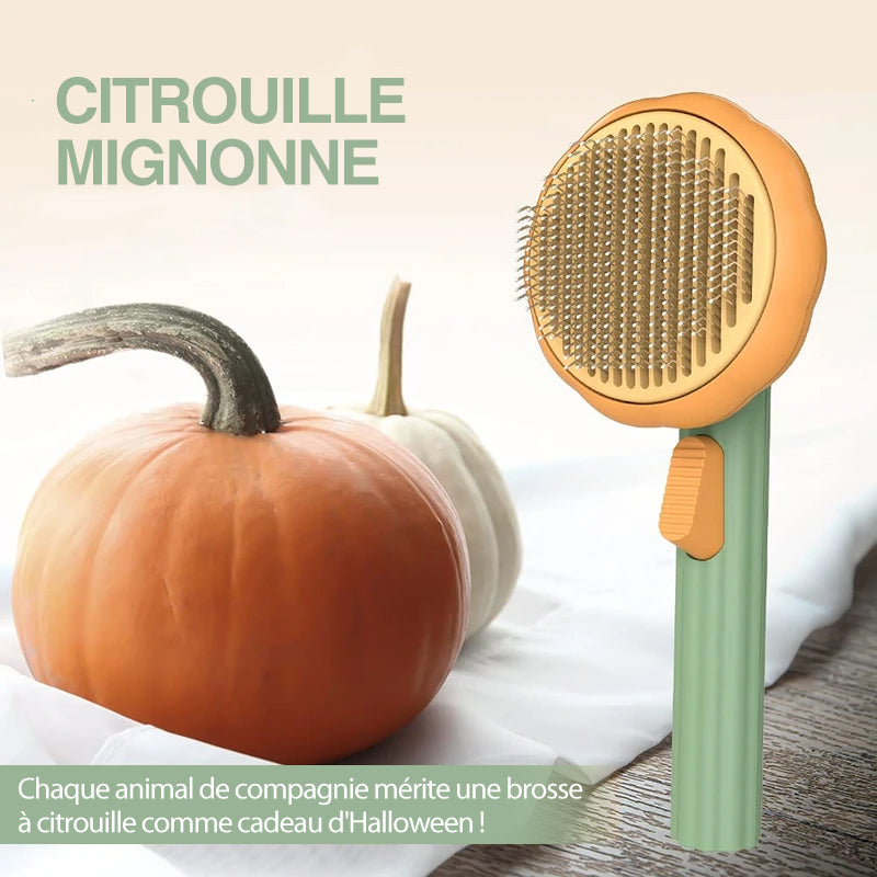 Pumpkin Comb Brush for Pets | Bowlift