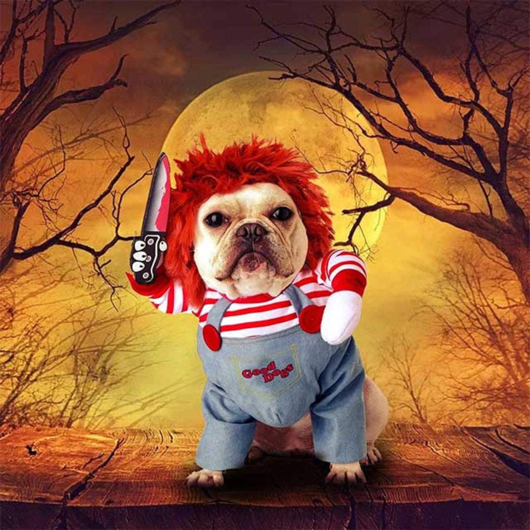 Chucky Pet Halloween Costume – Enhance Your Pet’s Playful Personality Bowlift
