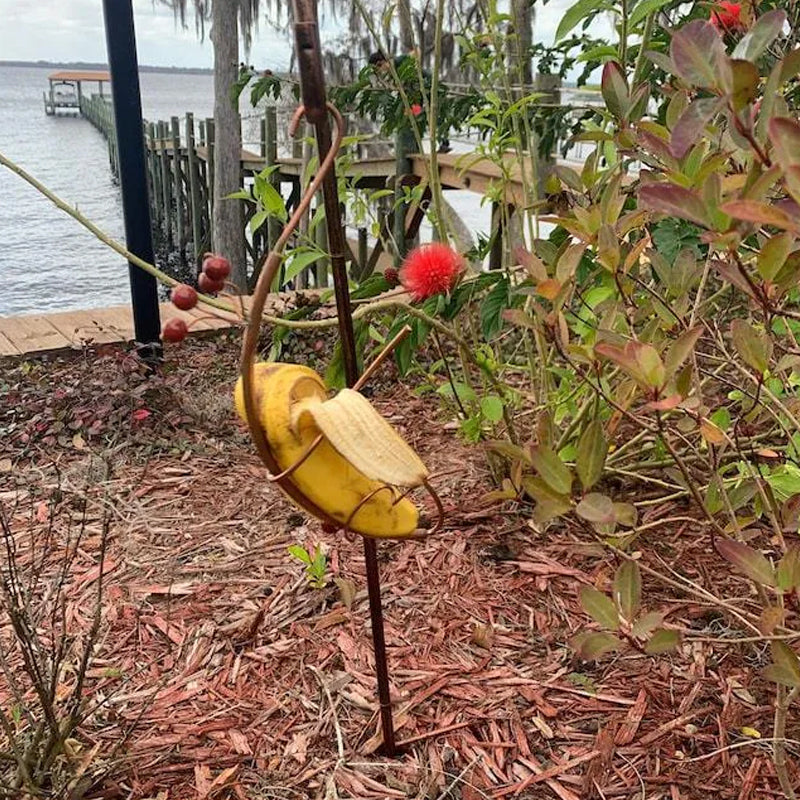 BowLift | Butterfly Banana Hammock-Butterfly Feeder