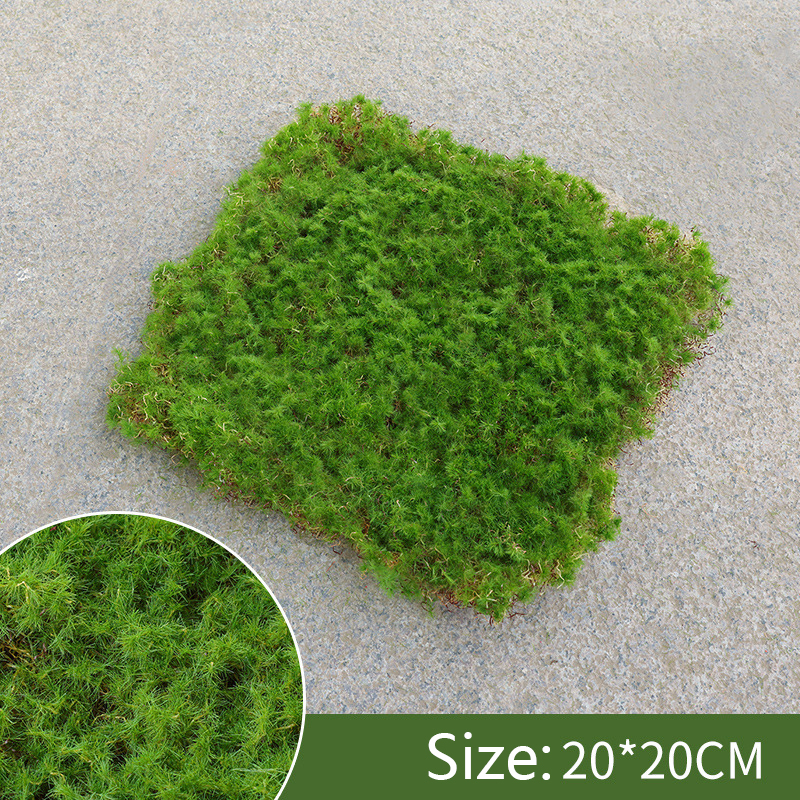 BowLift | Moss Cover Piece – Moss Flakes Ornament for Decoration and Landscaping