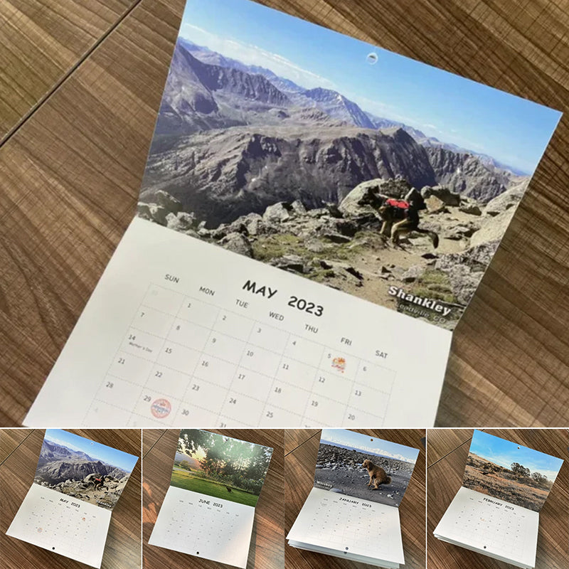 BowLift | Pooping Pooches Dog Calendar