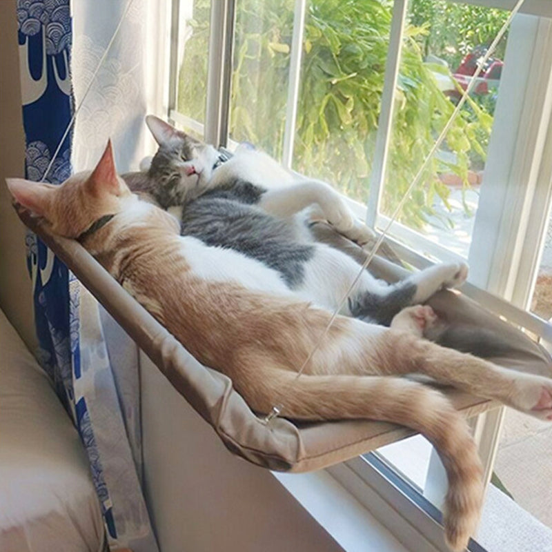 BowLift | Suction Cup Cat Hammock
