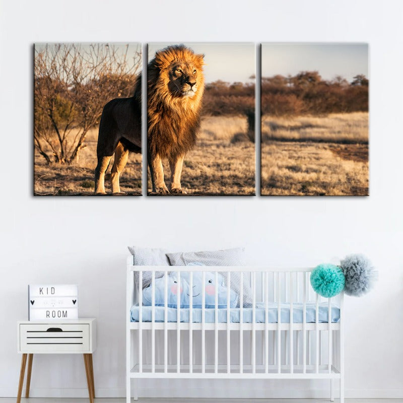 Majestic Lion Bathed In Sunlight-Canvas Wall Art Painting 3 Pieces | Bowlift