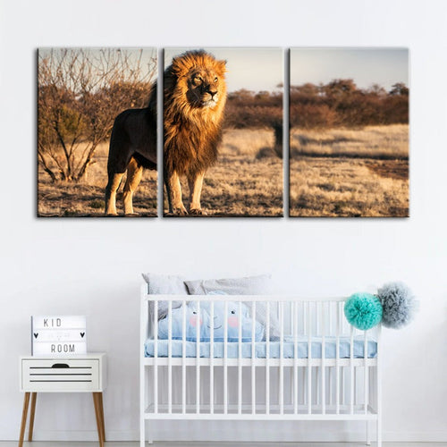 Majestic Lion Bathed In Sunlight-Canvas Wall Art Painting 3 Pieces | Bowlift