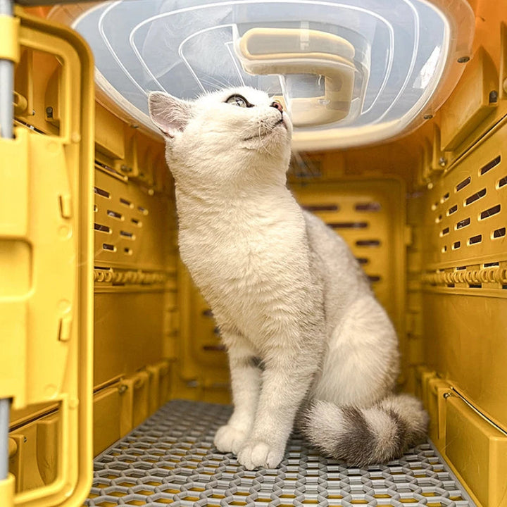 Foldable Pet Transport Box Bowlift