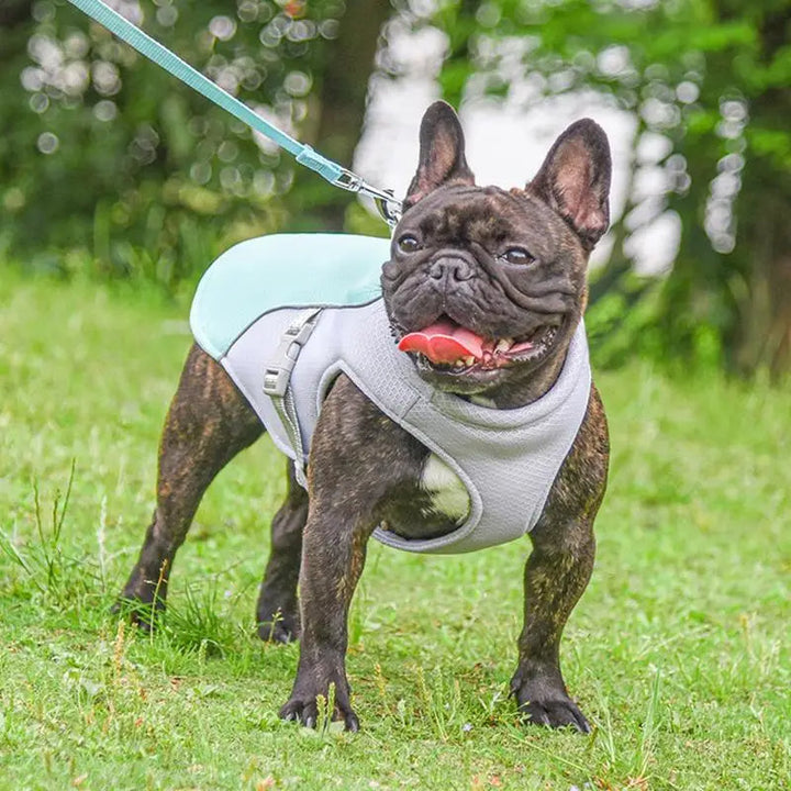 Dog Cooling Vest for Outdoor Activities | Bowlift