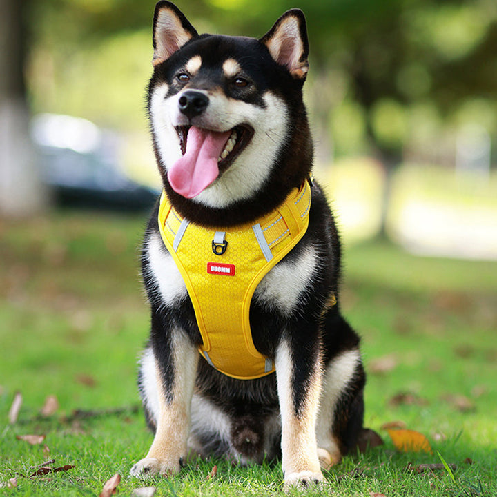 Reflective Dog Harness | Bowlift