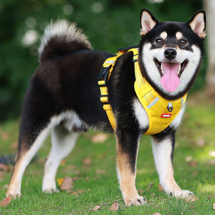 Reflective Dog Harness | Bowlift