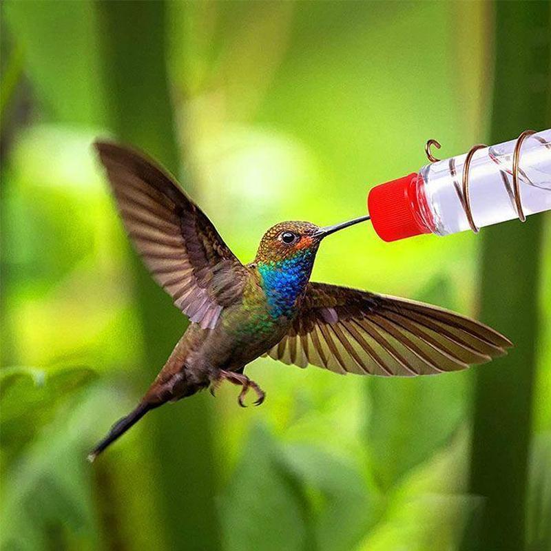 BowLift | Window Hummingbird Feeder