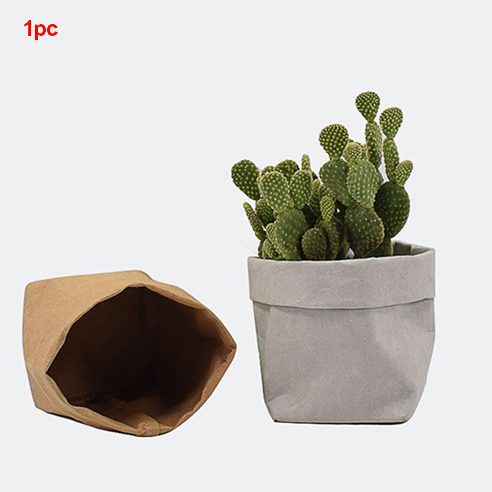 BowLift | Stylish plant pots made of paper for modern decoration