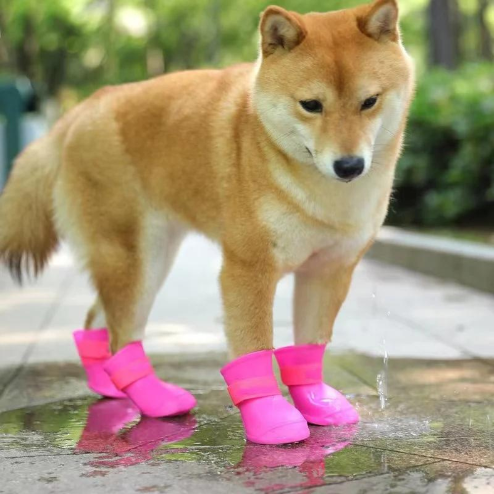 Pawsafe •  Waterproof Dog Boots