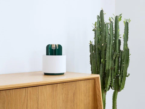 BowLift | Mosquito Cactus Lamp