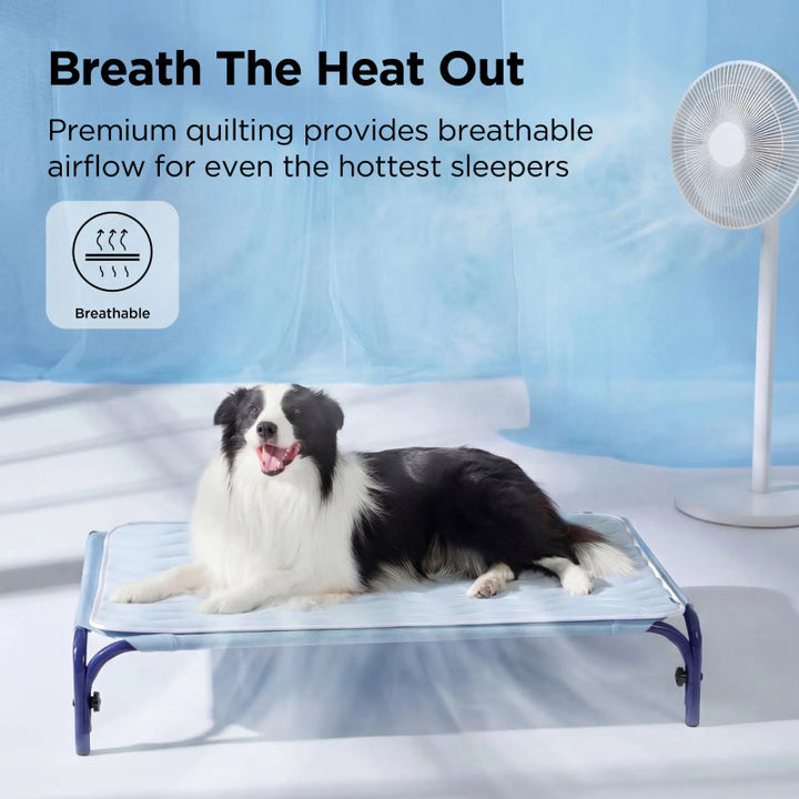 Extra Large Cooling Dog Mat Pad | Bowlift