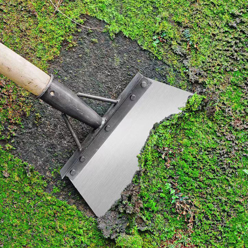Multifunctional cleaning scoop | Bowlift