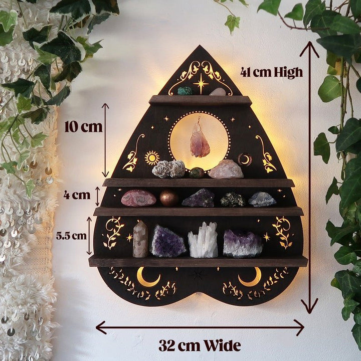 Luna Moth Lamp Crystal Shelves | Bowlift